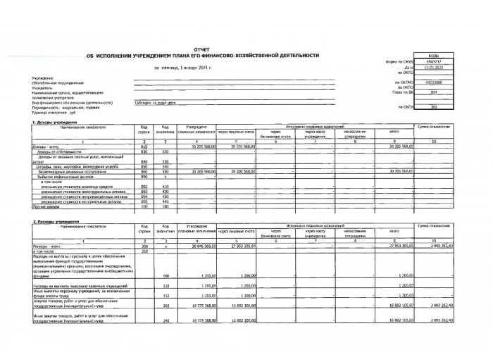 Отчет об исполнении учреждением плана его финансово - хозяйственной деятельности на 01.01.2021 г.