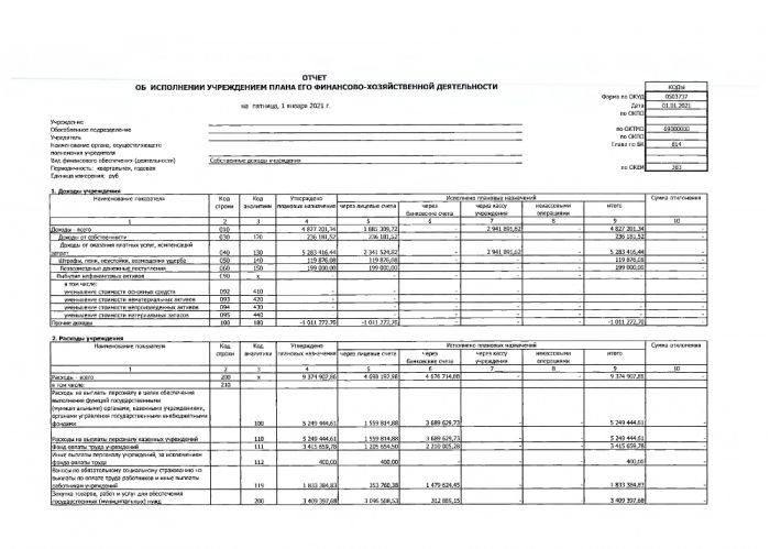 Отчет об исполнении учреждением плана его финансово - хозяйственной деятельности на 01.01.2021 г.